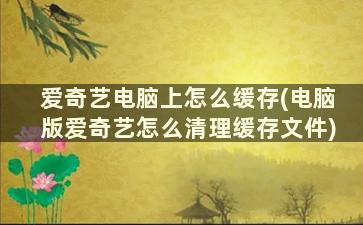 爱奇艺电脑上怎么缓存(电脑版爱奇艺怎么清理缓存文件)