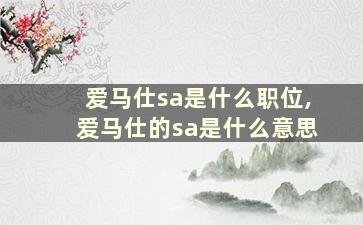 爱马仕sa是什么职位,爱马仕的sa是什么意思