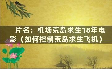 片名：机场荒岛求生18年电影（如何控制荒岛求生飞机）