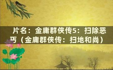 片名：金庸群侠传5：扫除恶丐（金庸群侠传：扫地和尚）