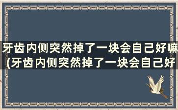 牙齿内侧突然掉了一块会自己好嘛(牙齿内侧突然掉了一块会自己好嘛怎么回事)