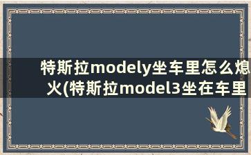 特斯拉modely坐车里怎么熄火(特斯拉model3坐在车里怎么熄火)