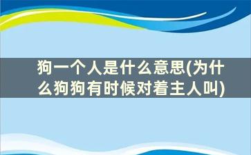 狗一个人是什么意思(为什么狗狗有时候对着主人叫)