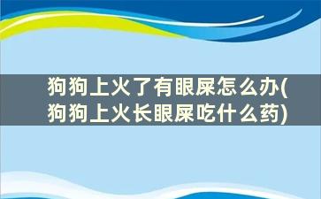 狗狗上火了有眼屎怎么办(狗狗上火长眼屎吃什么药)