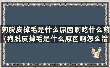 狗脱皮掉毛是什么原因啊吃什么药(狗脱皮掉毛是什么原因啊怎么治疗)