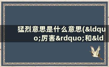 猛烈意思是什么意思(“厉害”和“利害”有什么区别)