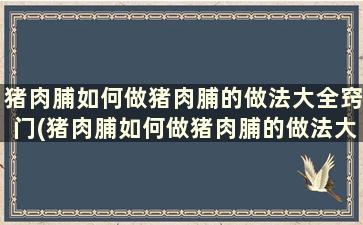 猪肉脯如何做猪肉脯的做法大全窍门(猪肉脯如何做猪肉脯的做法大全图解)