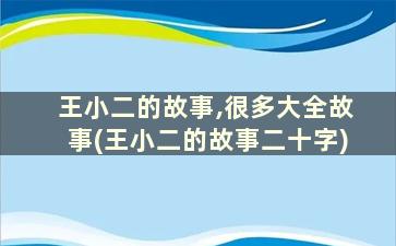 王小二的故事,很多大全故事(王小二的故事二十字)