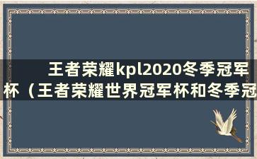 王者荣耀kpl2020冬季冠军杯（王者荣耀世界冠军杯和冬季冠军杯）