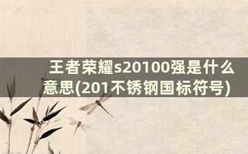 王者荣耀s20100强是什么意思(201不锈钢国标符号)