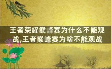 王者荣耀巅峰赛为什么不能观战,王者巅峰赛为啥不能观战