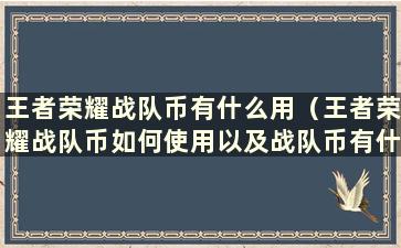 王者荣耀战队币有什么用（王者荣耀战队币如何使用以及战队币有什么用）