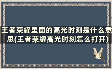 王者荣耀里面的高光时刻是什么意思(王者荣耀高光时刻怎么打开)