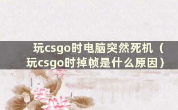 玩csgo时电脑突然死机（玩csgo时掉帧是什么原因）