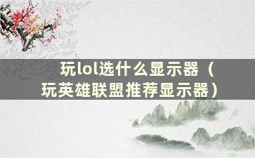 玩lol选什么显示器（玩英雄联盟推荐显示器）