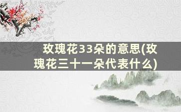 玫瑰花33朵的意思(玫瑰花三十一朵代表什么)