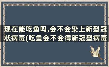 现在能吃鱼吗,会不会染上新型冠状病毒(吃鱼会不会得新冠型病毒)