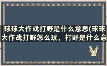 球球大作战打野是什么意思(球球大作战打野怎么玩，打野是什么意思)