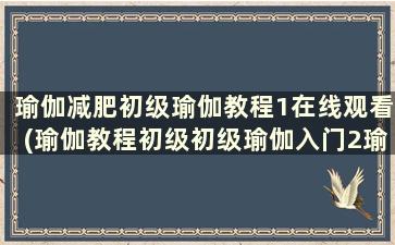 瑜伽减肥初级瑜伽教程1在线观看(瑜伽教程初级初级瑜伽入门2瑜伽减肥)