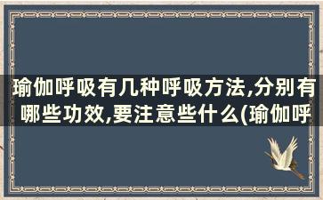 瑜伽呼吸有几种呼吸方法,分别有哪些功效,要注意些什么(瑜伽呼吸法有几种及好处)