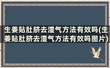 生姜贴肚脐去湿气方法有效吗(生姜贴肚脐去湿气方法有效吗图片)