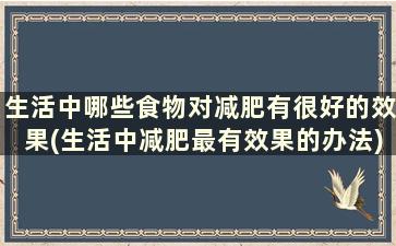 生活中哪些食物对减肥有很好的效果(生活中减肥最有效果的办法)