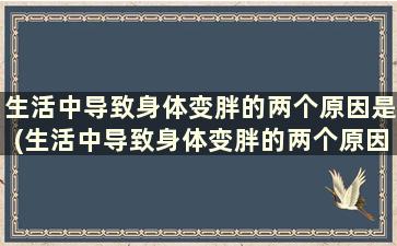 生活中导致身体变胖的两个原因是(生活中导致身体变胖的两个原因有哪些)