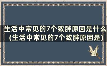 生活中常见的7个致胖原因是什么(生活中常见的7个致胖原因是)