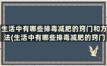 生活中有哪些排毒减肥的窍门和方法(生活中有哪些排毒减肥的窍门)