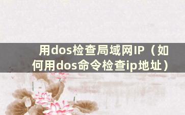 用dos检查局域网IP（如何用dos命令检查ip地址）