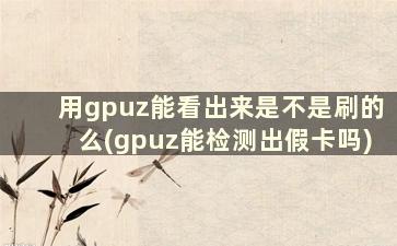 用gpuz能看出来是不是刷的么(gpuz能检测出假卡吗)