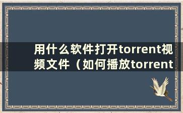 用什么软件打开torrent视频文件（如何播放torrent文件）