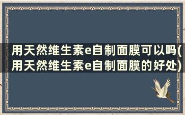 用天然维生素e自制面膜可以吗(用天然维生素e自制面膜的好处)