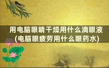 用电脑眼睛干燥用什么滴眼液(电脑眼疲劳用什么眼药水)