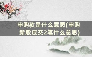 申购款是什么意思(申购新股成交2笔什么意思)