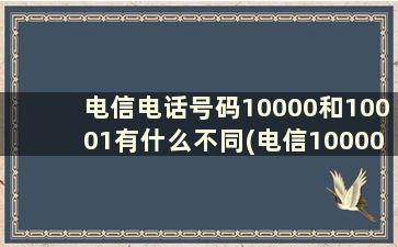 电信电话号码10000和10001有什么不同(电信10000和10001有什么区别)