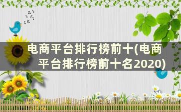 电商平台排行榜前十(电商平台排行榜前十名2020)