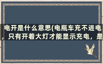 电开是什么意思(电瓶车充不进电，只有开着大灯才能显示充电，是什么问题，请帮忙看看)