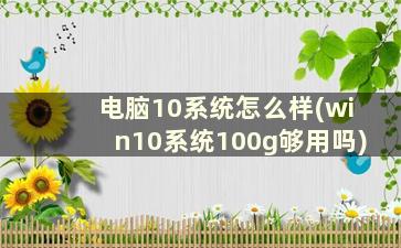 电脑10系统怎么样(win10系统100g够用吗)