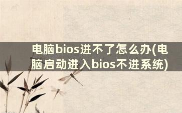 电脑bios进不了怎么办(电脑启动进入bios不进系统)