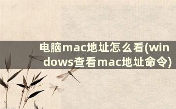 电脑mac地址怎么看(windows查看mac地址命令)