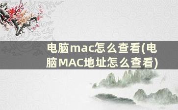 电脑mac怎么查看(电脑MAC地址怎么查看)