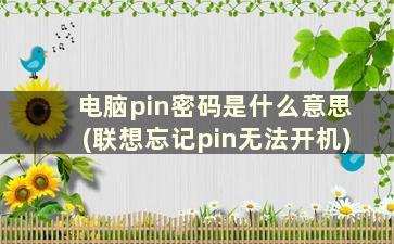 电脑pin密码是什么意思(联想忘记pin无法开机)