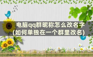 电脑qq群昵称怎么改名字(如何单独在一个群里改名)