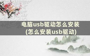 电脑usb驱动怎么安装(怎么安装usb驱动)