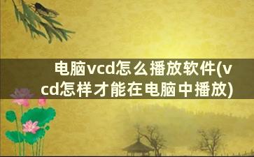 电脑vcd怎么播放软件(vcd怎样才能在电脑中播放)