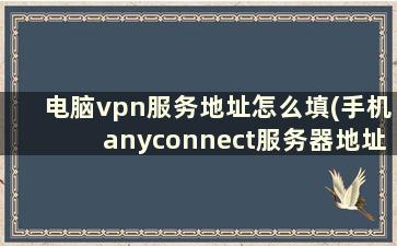 电脑vpn服务地址怎么填(手机anyconnect服务器地址填什么)