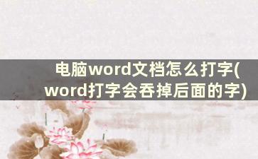 电脑word文档怎么打字(word打字会吞掉后面的字)