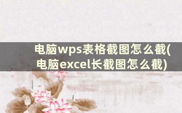 电脑wps表格截图怎么截(电脑excel长截图怎么截)