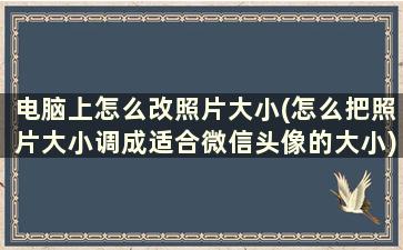 电脑上怎么改照片大小(怎么把照片大小调成适合微信头像的大小)